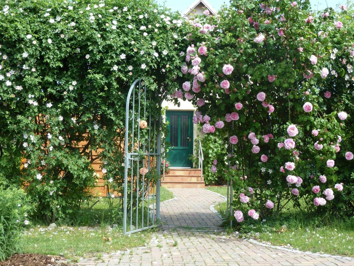 Ferien Auf Ruegen Familie Geist Apartment Garz  Exterior photo